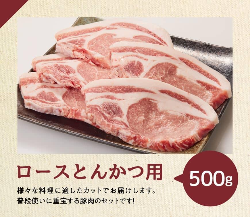 【ふるさと納税】 宮崎県産 豚肉 バラエティ 4種 セット 2.5kg 《様々な料理にお使いいただけます！》【 肉 豚肉 豚 ロース バラ 切り落とし 国産 九州産 ステーキ とんかつ しゃぶしゃぶ 送料無料 G7523】