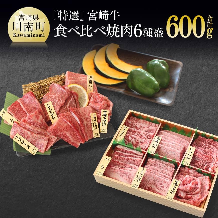 ※レビューキャンペーン※[特選] 宮崎牛 6種盛 焼肉 食べ比べ セット - 肉 牛肉 国産 宮崎県産 黒毛和牛 和牛 A4ランク以上 送料無料 宮崎県 川南町