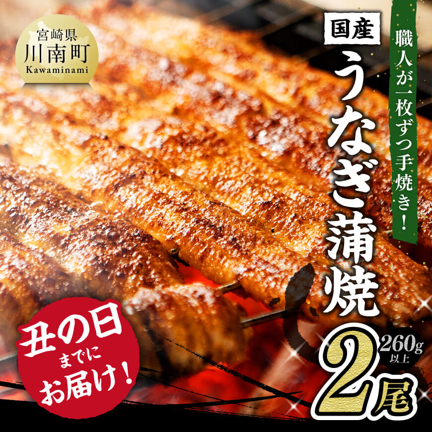 ※レビューキャンペーン※ 丑の日 までにお届け! 名店の味 国産鰻 宮崎県産うなぎ蒲焼 2尾(ウナギ260g以上) ひむか山道うなぎ[うなぎ・蒲焼きのたれ・粉山椒 セット][ 国産 うなぎ 鰻 宮崎県産 川南町産 冷凍 ふるさと納税 ウナギ F8401 ]