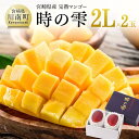 【ふるさと納税】【令和7年発送】宮崎県産完熟マンゴー「時の雫」 2L×2玉 - 果物 フルーツ マンゴー 宮崎県産 九州産 完熟マンゴー みやざきマンゴー 先行予約 数量限定 期間限定 D08606(4)