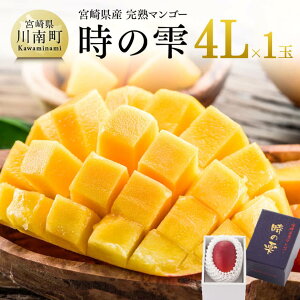 【ふるさと納税】\レビューキャンペーン/【令和7年発送】宮崎県産完熟マンゴー「時の雫」 4L×1玉 - 果物 フルーツ マンゴー 宮崎県産 九州産 完熟マンゴー みやざきマンゴー 先行予約 数量限定 期間限定 D08607