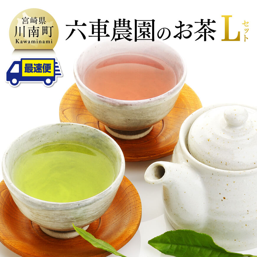【ふるさと納税】※レビューキャンペーン※ 「六車農園」お茶Lセット 九州産 宮崎県産 川南町産 彩翠深蒸煎茶 かぶせ茶 ほうじ茶 ティーバッグ ボトル 茶 お茶 日本茶 国産茶 お湯出し 水出し 飲みやすい おうち時間 G8703