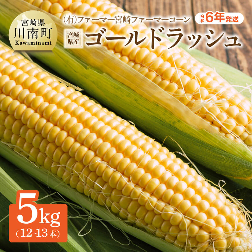 令和6年発送 (有)ファーマー宮崎 ファーマーコーン 宮崎県産とうもろこし「ゴールドラッシュ 」12〜13本 宮崎県産朝どれ スイートコーン ‐ 先行予約 数量限定 期間限定 宮崎県産 九州産 川南町産 ファーマーコーン 産地直送 循環型農業 送料無料