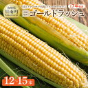 【ふるさと納税】宮崎県産とうもろこし ファーマー宮崎 ファーマーコーン「ゴールドラッシュ」12〜15本 ‐ 先行予約 数量限定 期間限定 宮崎県産 川南町産 フ...