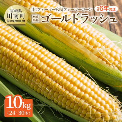 令和6年発送 (有)ファーマー宮崎 ファーマーコーン 宮崎県産とうもろこし「ゴールドラッシュ 」24～30本 宮崎県産朝どれ スイートコーン ‐ 先行予約 数量限定 期間限定 宮崎県産 九州産 川南町産 ファーマーコーン 産地直送 循環型農業 送料無料 E9003