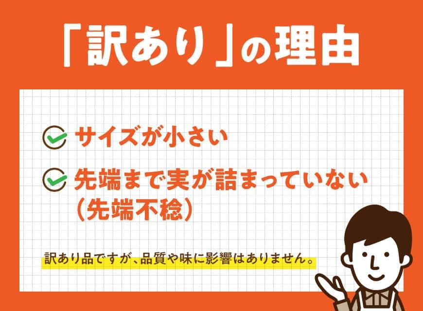 【ふるさと納税】【訳あり】令和6年産とうもろこし 宮崎県産スイートコーン「ゴールドラッシュ」13～20本 【 宮崎県産 川南町産 九州産 新鮮 農家直送 産地直送 スィート―コーン 送料無料 E9102 】