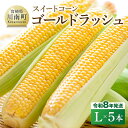 【ふるさと納税】【令和8年発送】宮崎県産とうもろこし スイートコーン「ゴールドラッシュ」L×5本 - 宮崎県産 川南町産 九州産 新鮮 農家直送 産地直送 スィート-コーン とうもろこし 送料無料 C09107