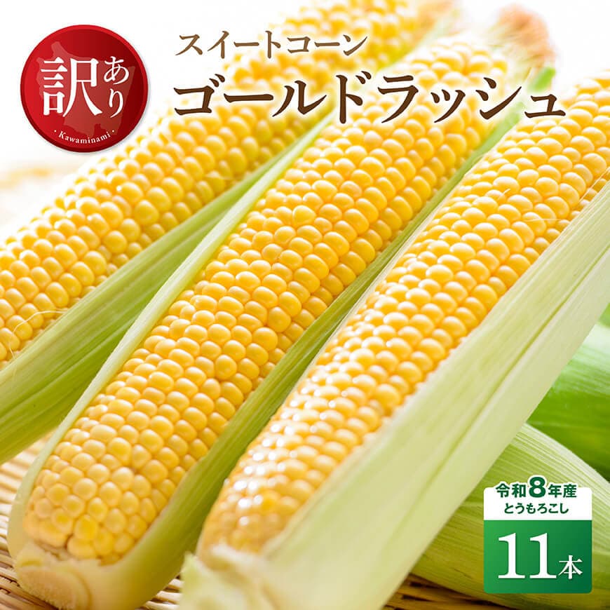 [訳あり]令和8年産とうもろこし スイートコーン「ゴールドラッシュ」11本 - とうもろこし とうきび トウモロコシ 先行予約 新鮮 朝どれ 野菜 旬の野菜 宮崎県産 川南町産 国産 九州産 新鮮 農家直送 産地直送 季節限定 送料無料 宮崎県川南町C09101
