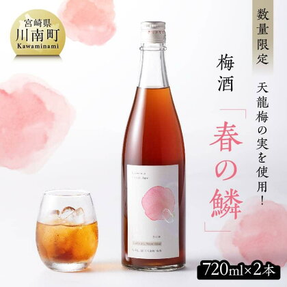 【数量限定】 天龍梅の実を使用！オリジナル梅酒「春の鱗」720ml×2本【 酒 アルコール お酒 梅酒 九州産 送料無料 F5603