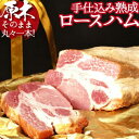 ロースハム 【ふるさと納税】 【PREMIUM PORK】 尾鈴豚手仕込み熟成ロースハム1本 - 豚肉 豚 肉 ぶた 加工品 ハム ロースハム E9208