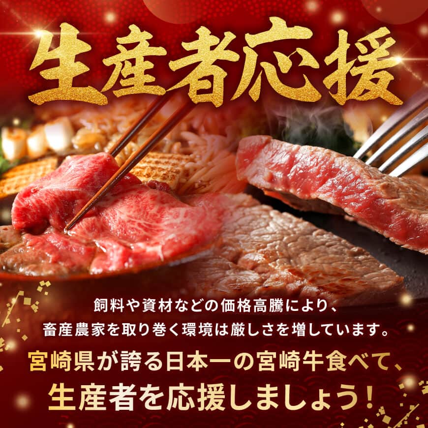 【ふるさと納税】※部位・カット・グラム・発送時期(最速便含む)が選べる※宮崎牛 赤身＆霜降り 250g / 500g / 1kg - 牛肉 最速便 黒毛和牛 ミヤチク 焼肉 食べ比べ モモ ウデ 肩ロース すき焼き 焼き肉 国産 宮崎県産 すき焼き しゃぶしゃぶ スライス 焼肉 送料無料 焼肉 f454052-kawaminami-10001617 宮崎県川南町 サンプル画像2