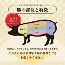 【ふるさと納税】※レビューキャンペーン※ 【PREMIUM PORK】 尾鈴豚手仕込み熟成ロースハム1本 - 豚肉 豚 肉 ぶた 加工品 ハム ロースハム E9208 2