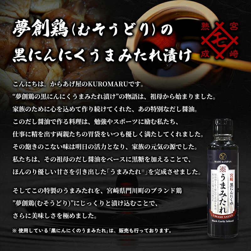 宮崎県門川町の画像2