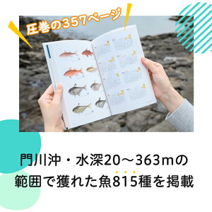 【ふるさと納税】新・門川の魚図鑑(1冊)お魚 知育 学習 本 書籍【AI-3】【門川町地域振興課】