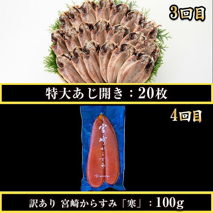 【ふるさと納税】＜定期便・全4回(連続)＞さかなのまち 門川 海の幸 定期便 ( 骨取り 肉厚 サバ切身×21切・味付けすりみ2種 計1.8kg、特大 あじ　開き×20切・訳あり からすみ100g) アジ さば カラスミ おかず 惣菜 骨とり 煮物 すり身 宮崎県 門川町【AW-64】【丸正水産】 f454214-kadogawa-10000803 宮崎県門川町 サンプル画像3