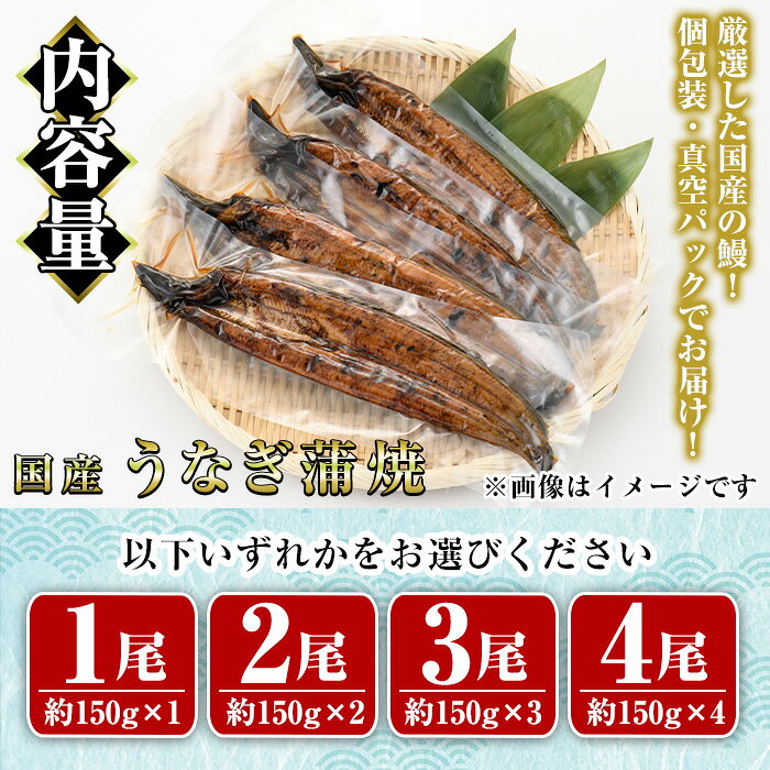 【ふるさと納税】＜内容量が選べる！＞国産 うなぎ 蒲焼 (計1～4尾・1尾あたり約150g) 鰻 ウナギ タレ かば焼き うな重 うな丼 ひつまぶし 小分け 真空包装【AW-91・AW-92・AW-93・AW-94】【丸正水産】
