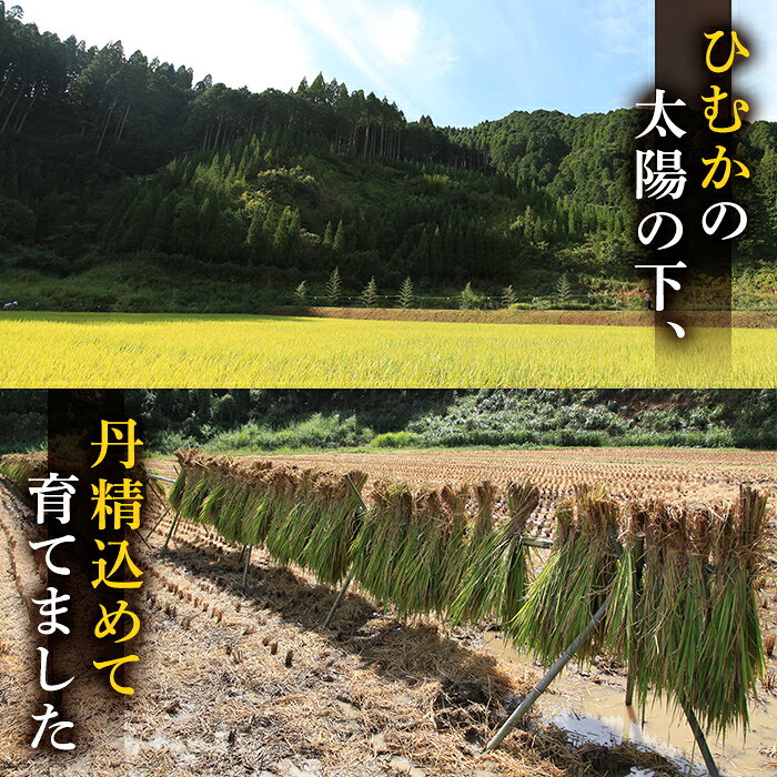 【ふるさと納税】＜先行予約受付中！2026年10月下旬以降順次発送予定＞＜内容量が選べる＞令和8年産 新米 宮崎県門川町産ヒノヒカリ(計5～10kg) お米 精米 白米 ごはん ご飯 ひのひかり 皇室献上米【KM-3・KM-1】【神舞農園】 f454214-kadogawa-10000300 宮崎県門川町 サンプル画像3