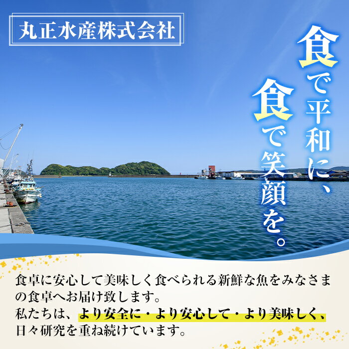 【ふるさと納税】＜訳あり＞国産特大青あじの開き(計4.5kg以上・20枚以上)簡易包装 干物 アジ 魚介 水産加工品 開き おかず おつまみ 宮崎県 門川町【AW-22】【丸正水産】