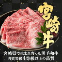 【ふるさと納税】宮崎牛 スネ ブロック(800g)牛肉 お肉 すね 黒毛和牛 ブランド和牛 国産 煮込み料理 ビーフシチュー おでん 冷凍【MF-7】【エムファーム】 2