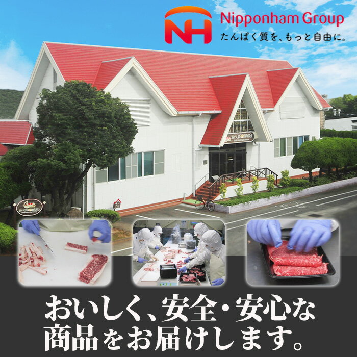 【ふるさと納税】宮崎県産黒毛和牛切り落とし(計600g・300g×2P)牛肉 精肉 お肉 モモ 肩 カタ バラ ミックス 小分け すき焼き しゃぶしゃぶ 牛丼 肉じゃが 国産 冷凍【P-20】【南日本フレッシュフード株式会社(日本ハムマーケティング株式会社)】