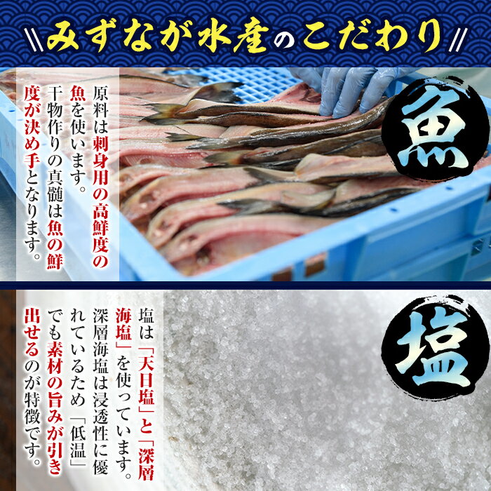 【ふるさと納税】国産いか一夜干し5枚セット(計約1.2kg以上)九州近海どれのスルメイカを原料に冷風乾燥！おかずやおつまみに大活躍！【E-16】【水永水産】