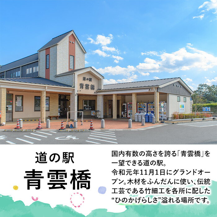 【ふるさと納税】＜令和5年産＞＜数量限定＞合鴨米(5kg×2袋)米 白米 精米 国産 ご飯【MU027】【日之影町村おこし総合産業(株)】