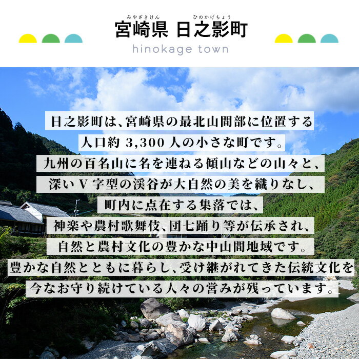 【ふるさと納税】≪返礼品なし・1,000円≫宮...の紹介画像2