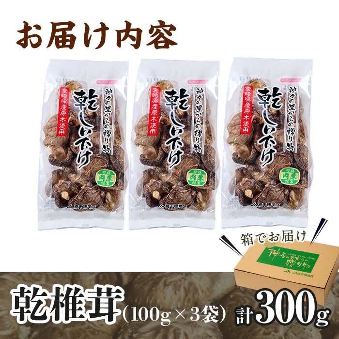 【ふるさと納税】乾椎茸肉厚どんこ(100g×3袋)宮崎県産 原木栽培 特選 干し椎茸 しいたけ きのこ【NK005】【宮崎県農業協同組合　高千穂地区本部】