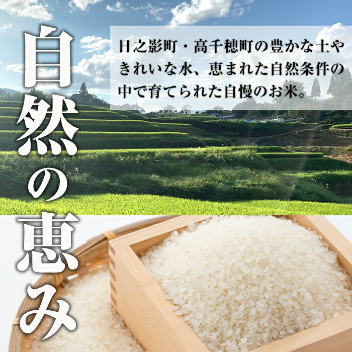 【ふるさと納税】＜令和5年産＞＜定期便(連続3回)＞宮崎県産 神々の里 高千穂郷ひのひかり(5kg×2袋×3回)米 白米 精米 国産 ご飯 ブランド米【NK009】【宮崎県農業協同組合　高千穂地区本部】