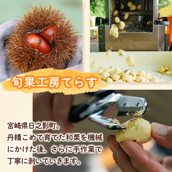 【ふるさと納税】 ひのかげ 冷凍 生 むき栗 (計400g・200g×2P) 小分け 真空パック くり クリ 栗きんとん 栗ごはん 製菓材料 加工食品【TR008】【旬果工房てらす】