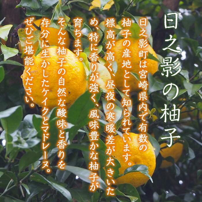 【ふるさと納税】柚子ケイク(240g×1個)＆柚子マドレーヌ(30g×6個) おやつ ケーキ パウンドケーキ マドレーヌ ゆず 柚子 スイーツ 洋菓子 お菓子 お茶菓子 お茶請け 手土産 【TT011】【一般社団法人ツーリズム高千穂郷】