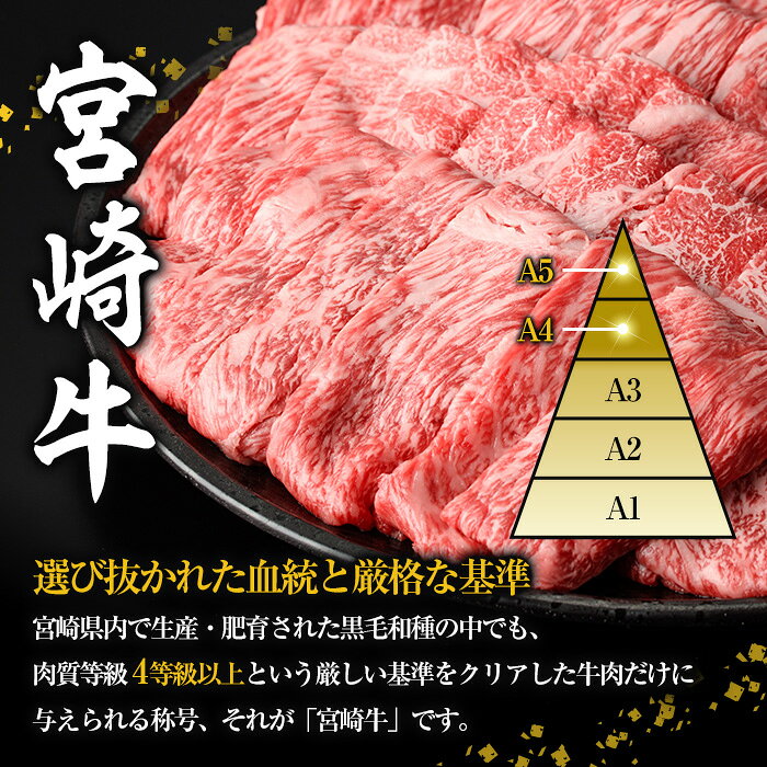 【ふるさと納税】＜内容量が選べる！＞宮崎牛 モモ ステーキ(計400g～1.2kg) 400g 800g 1.2kg お肉 牛肉 黒毛和牛 宮崎牛 ブランド和牛 冷凍 国産 モモ 赤身 ステーキ 宮崎県産 【YA002・YA003・YA004】【YAMATO株式会社】 f454427-hinokage-10000359 宮崎県日之影町 サンプル画像3