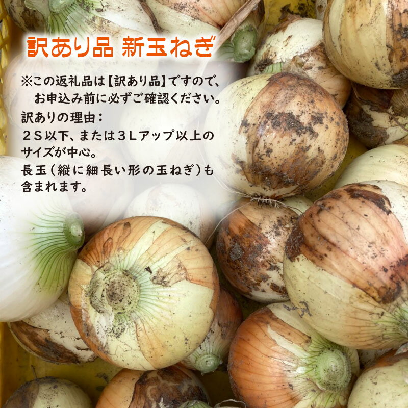 【ふるさと納税】 【家庭用】 鹿児島県 鹿屋産 有機 新玉ねぎ 9kg たまねぎ タマネギ 玉葱 訳あり B品 有機JAS 認証 野菜 新たま 土付き ふるさと納税 鹿屋市 特産品【財宝】