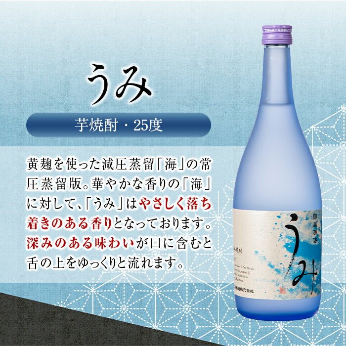 【ふるさと納税】大海酒造のオススメ焼酎(計12...の紹介画像3