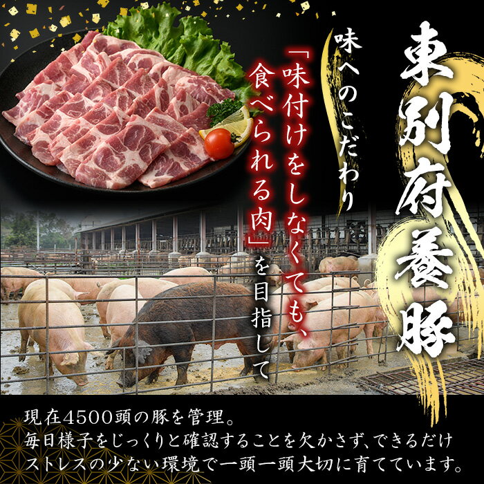 【ふるさと納税】【3回定期・偶数月に発送】鹿屋産 さかし豚 3kg モモ スライス(500g×6)小分けで使いやすい定期便です！ハーブ・唐辛子・乳酸菌を与えてお腹の中から元気に育てた豚！国産 鹿児島産 豚肉 モモ 小分け 個包装 真空パック 定期便肉【有限会社東別府養豚】