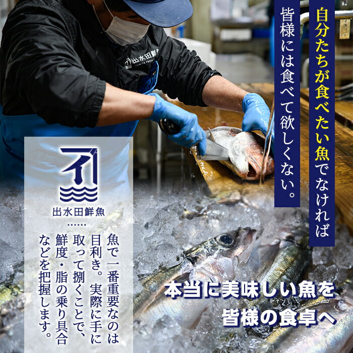 【ふるさと納税】創業40年の魚屋が厳選した鹿児島産真鯛と高級魚の鍋セット（生うどん付き）【イズミダ】