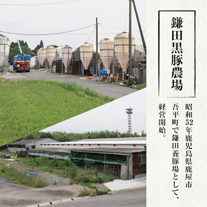 【ふるさと納税】【訳あり】鹿児島県産黒豚 切落し 計2kg（500g×4パック） 生産から肥育まで一貫して行っている黒ぶた農場のお肉を使用！小分けで料理する際に便利！野菜炒め、カレー、焼きそばに！【鎌田黒豚農場】