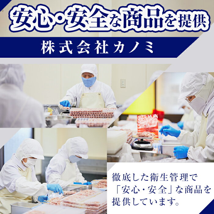 【ふるさと納税】＜国産＞ 焼き鳥 セット(タレ付き) 計64本（せせり串12本、むね串12本、もも串10本、ささみ串10本、つくね串10本、皮串5本、砂肝串5本） 鶏肉使用 7種セット 個別急速冷凍で使いやすい 小分けパック 焼鳥 やきとり 【株式会社カノミ】