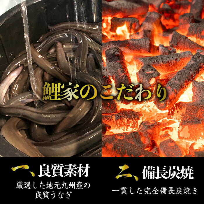 【ふるさと納税】 ＜国産＞ 鯉家の極上蒲焼大トロうなぎ蒲焼(無頭)(計540g・4尾×135g) 秘伝タレ・山椒付き！熟練の職人たちが備長炭で丁寧に手焼き！【株式会社 鯉家】