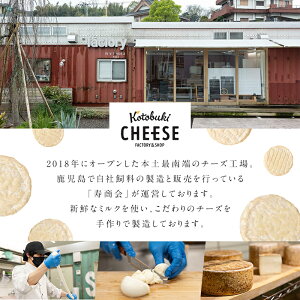 【ふるさと納税】チーズ 詰め合わせ kotobuki cheese ナチュラルチーズセット（モッツァレラ、カノヤ、リコッタ、モッツァレラハーブオイル漬け、ストリング、ギリシャヨーグルト） 新鮮なミルクを使用した鹿屋産のチーズ！＜冷蔵＞【kotobuki cheese株式会社】