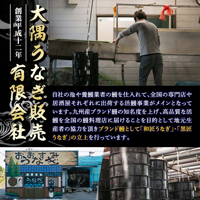 【ふるさと納税】 ＜国産＞ 【訳あり】備長炭手焼うなぎの蒲焼 5尾 計500g 特製タレ・山椒付き！タレと炭の香り豊かな備長炭焼き鰻の蒲焼！【大隅うなぎ販売有限会社】