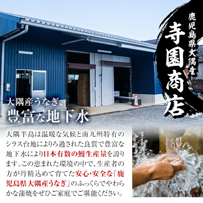 【ふるさと納税】【土用の丑の日対応7/7入金まで】＜国産＞ 大隅特産うなぎ蒲焼2尾(計340g［170g×2尾］) たれ・山椒付き！無頭真空パックのウナギ蒲焼き！湯煎または電子レンジで温めるだけでうなぎ本来の美味しさを味わえます！【株式会社寺園商店】