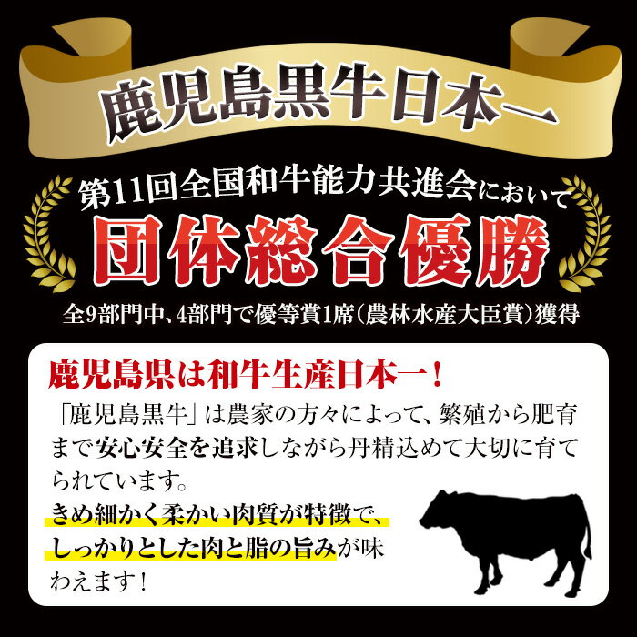 【ふるさと納税】H-101 肉質最高ランク5等級 鹿児島黒牛すき焼きセット(計約600g)国産 九州産 鹿児島産 国産牛 牛肉 5等級 霜降り すきやき しゃぶしゃぶ セット【鹿児島いずみ農業協同組合】a-36-10