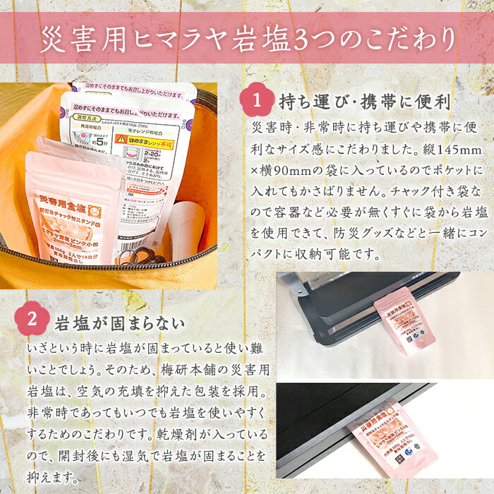 【ふるさと納税】＜内容量・種類が選べる！＞災害用 食塩 ピンク岩塩(3〜5袋・100g/袋 小粒・あら塩) ヒマラヤ岩塩 ピンク岩塩 岩塩 塩 食塩 調味料 ミネラル 熱中症対策 災害用 防災グッズ 災害対策 備蓄【梅研本舗ジャパン】