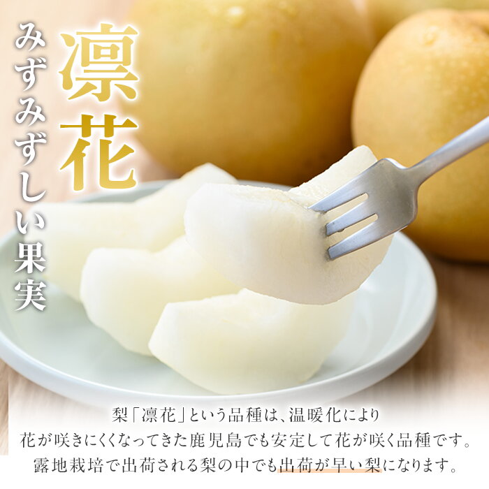 鹿児島県阿久根市の画像3