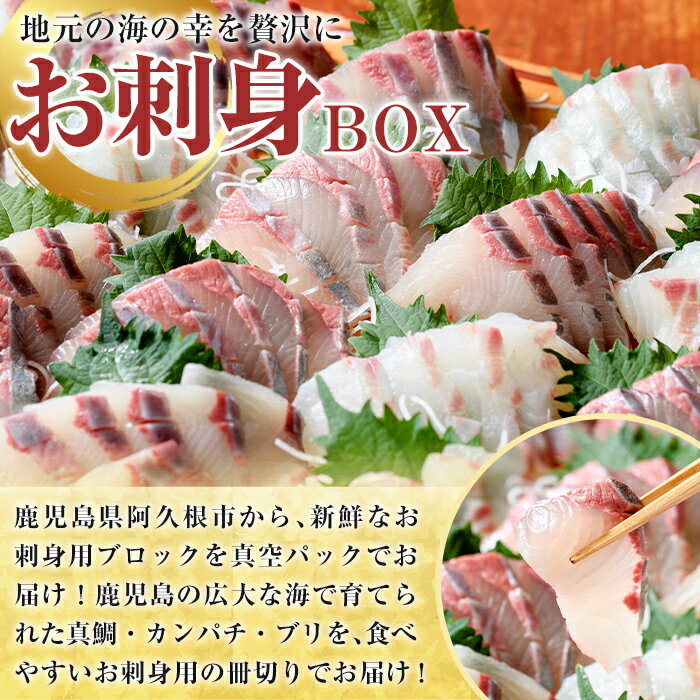【ふるさと納税】＜内容量が選べる！＞厳選お刺身BOX(4〜12人前) 国産 お刺身 魚貝...