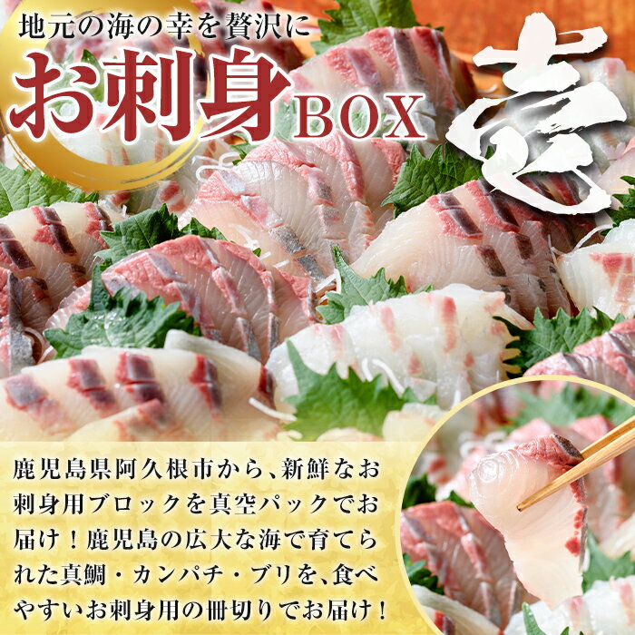 【ふるさと納税】＜定期便・全3回＞海の幸満喫定期便 魚貝 魚介 海産物 旬 お魚 冷蔵 刺身 真鯛 タイ カンパチ ブリ 鰤 鮮魚 焼き魚 たこ ゆでだこ タコ 蛸 煮つけ 定期便 詰め合わせ セット お楽しみ 海の幸【さるがく水産】akn028-32 f462063-akune-10001479 鹿児島県阿久根市 サンプル画像3
