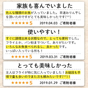 【ふるさと納税】鹿児島県産!干物など詰め合わせ<4種>鯵(アジ)、鯖(サバ)など干物11枚にいわしフライ5枚の計16枚セット!あくねのお魚づくし【又間水産】1-1