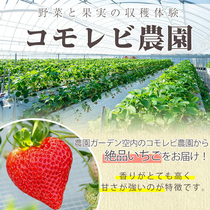 【ふるさと納税】＼テレビで紹介されました！／＜先行予約受付中！2026年12月上旬以降順次発送予定＞凍眠君使用！農園ガーデン空産冷凍いちご(計1.8kg・600g×3P) 国産 鹿児島県産 イチゴ 苺 恋みのり 紅ほっぺ かおり野 フルーツ 果物 おやつ【農園ガーデン空】akn026-04 f462063-akune-10000656 鹿児島県阿久根市 サンプル画像3