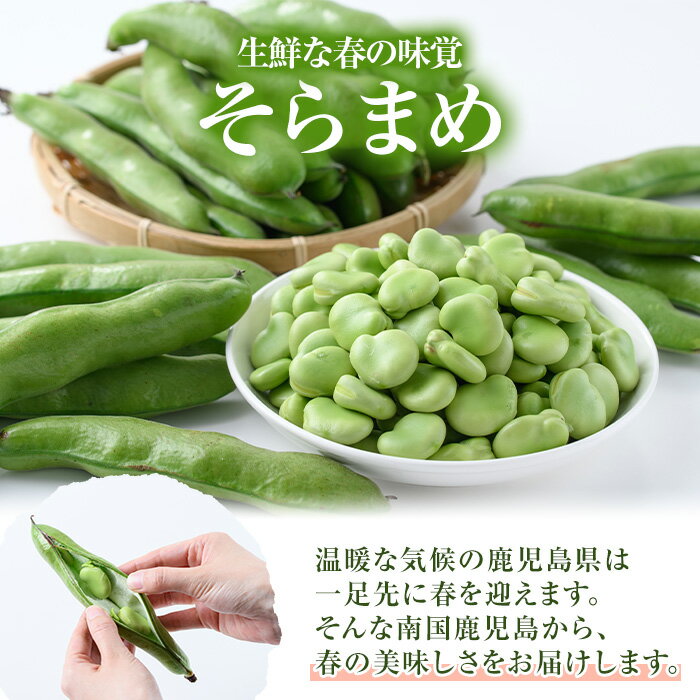 鹿児島県阿久根市の画像3